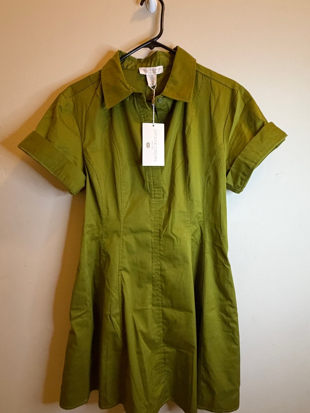 Caroline Constas New York Green Collared Mini Shirt Dress Size S NWT